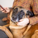 901开奖现场全程直播,见证激动人心的开奖时刻 3c9w1kbe