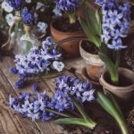 8kj开奖现场最新结果揭晓,精彩瞬间不容错过 7p0w7k91w