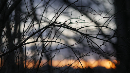 88开奖论坛官方平台最新开奖信息发布