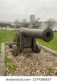 白菜网的购物攻略：如何在这里找到超值商品