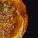 百喜体育:引领全民健身潮流的创新平台 omy3880q18