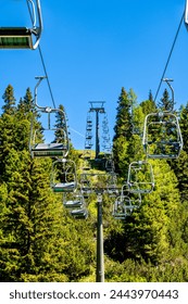 白菜论坛的魅力:聚焦家庭理财与省钱技巧的交流平台