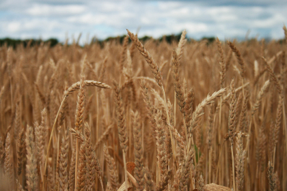 8视频直播：实时互动，畅享精彩视听盛宴